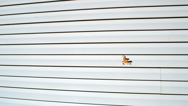 Post-Storm Damage Fixes